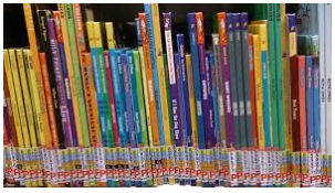 picture of library books